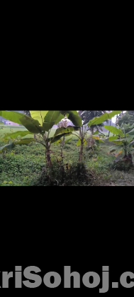 দাক্ষিনখান, টংগী ৪.৫ কাঠা  জমি বিক্রি হবে।